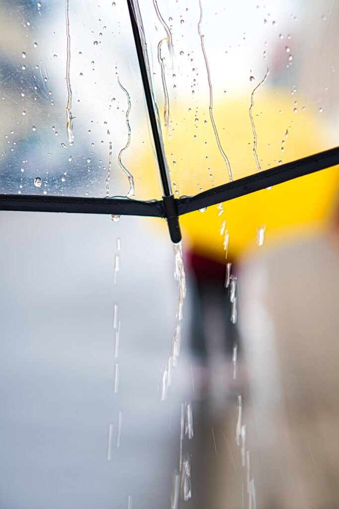 雨の日に楽しむ写真アイデアは？