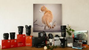 スマホで撮影した写真の解像度を最適化する方法は？