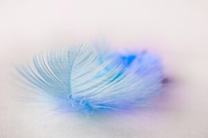 昼間に子供の撮影を明るくするためのコツは？