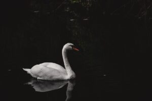 子ども写真を撮る際のホワイトバランスの基本は？