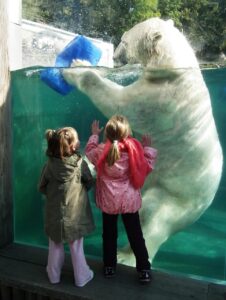 子ども写真オンライン講座の比較でおすすめはどれ？