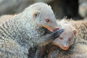 年子を持つママが撮影で大変なこととは？