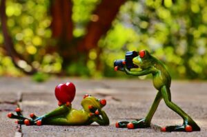 幼稚園児が自然の中で素敵な写真を撮るためのポーズは？