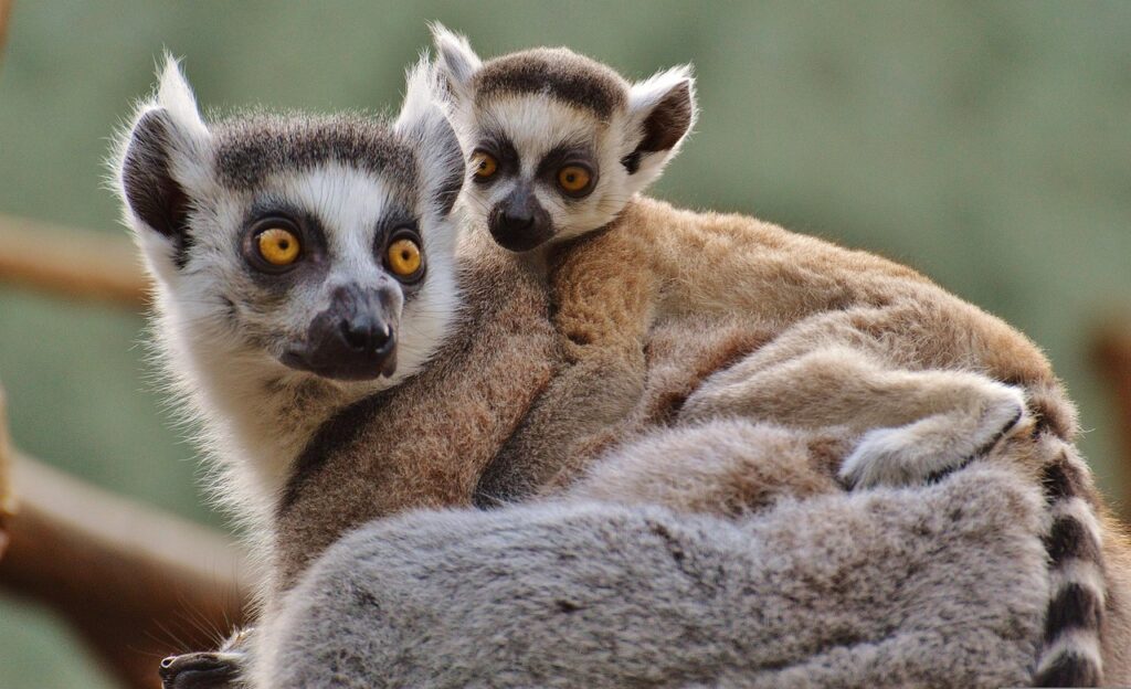 ママが子どもとの写真で失敗する原因とは？