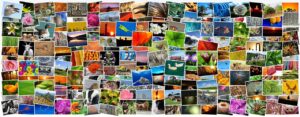 子ども写真アルバムの作成方法はこれで決まり？